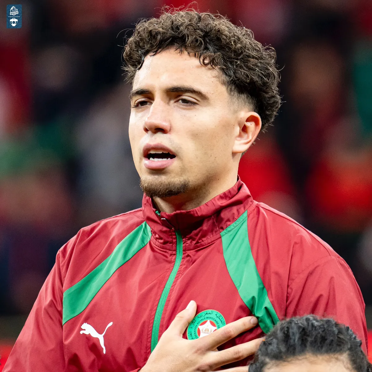 el aynaoui — IT news