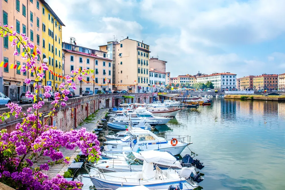 forlì - livorno — IT news