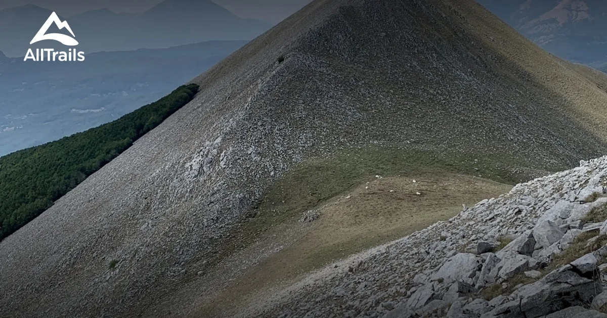 latronico — IT news