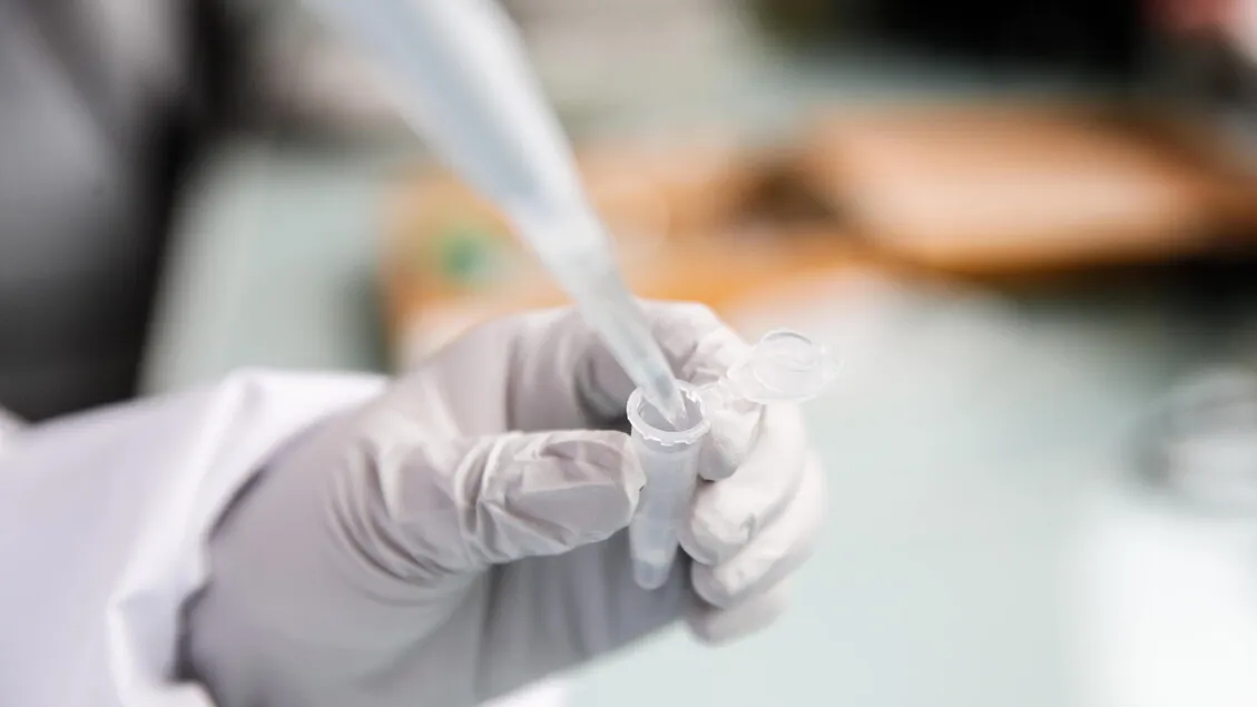 meningite — IT news