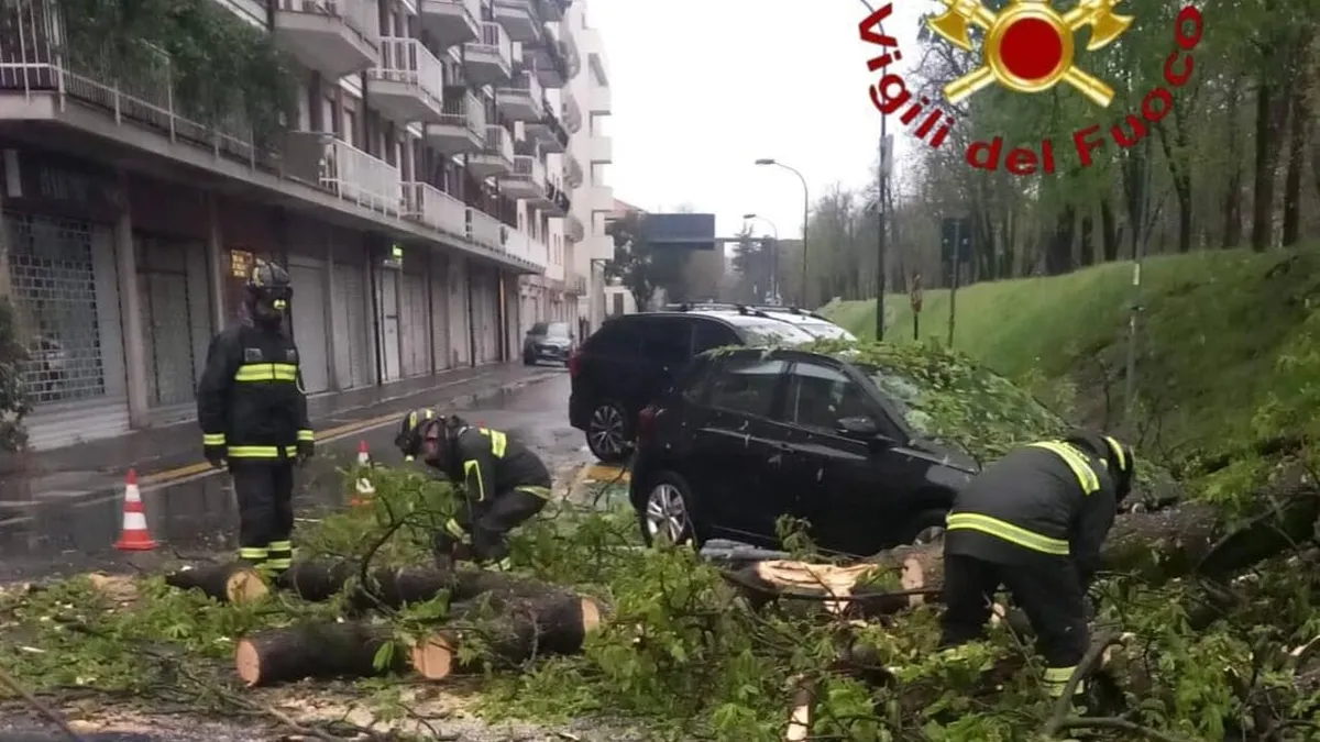 meteo venezia — IT news