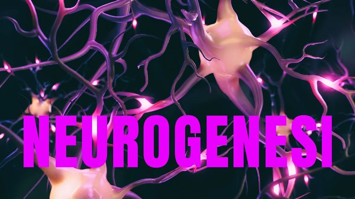 neurogenesi — IT news