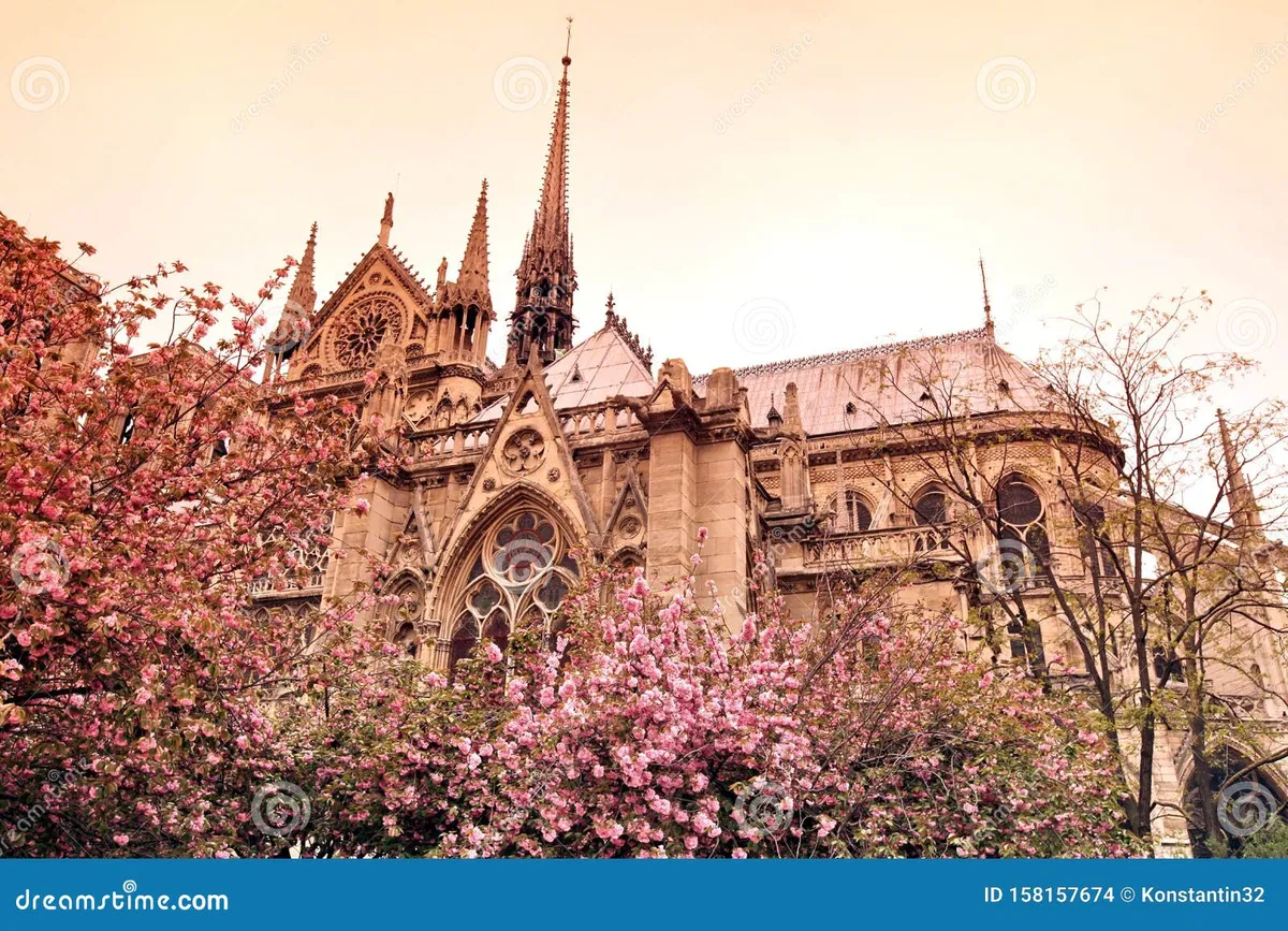 notre dame de paris — IT news