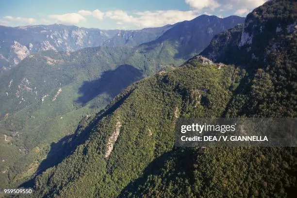 orsomarso — IT news