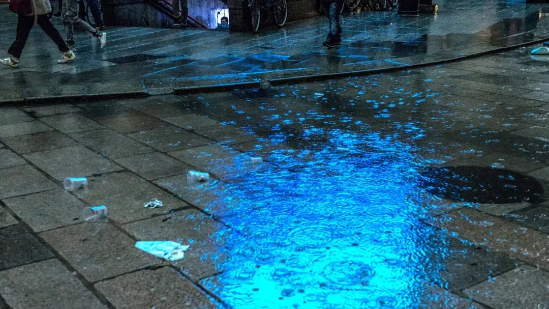 previsioni per pasqua — IT news