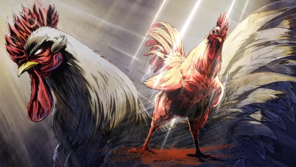 rooster fighter — IT news