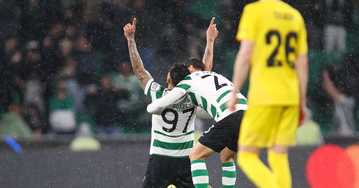 sporting bodo — IT news