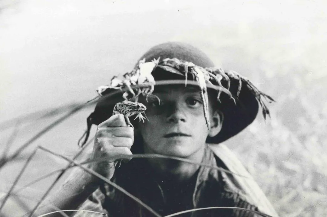 stefania sandrelli — IT news