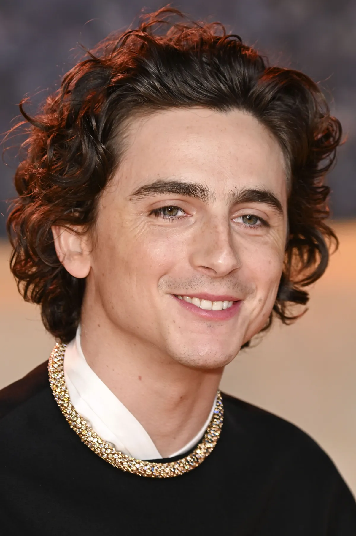 timothée chalamet — IT news