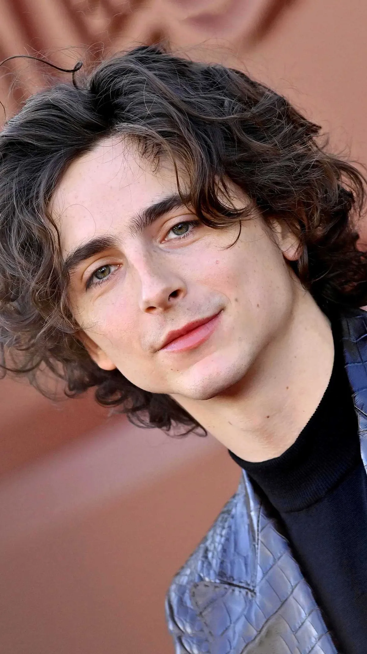 timothee chalamet — IT news
