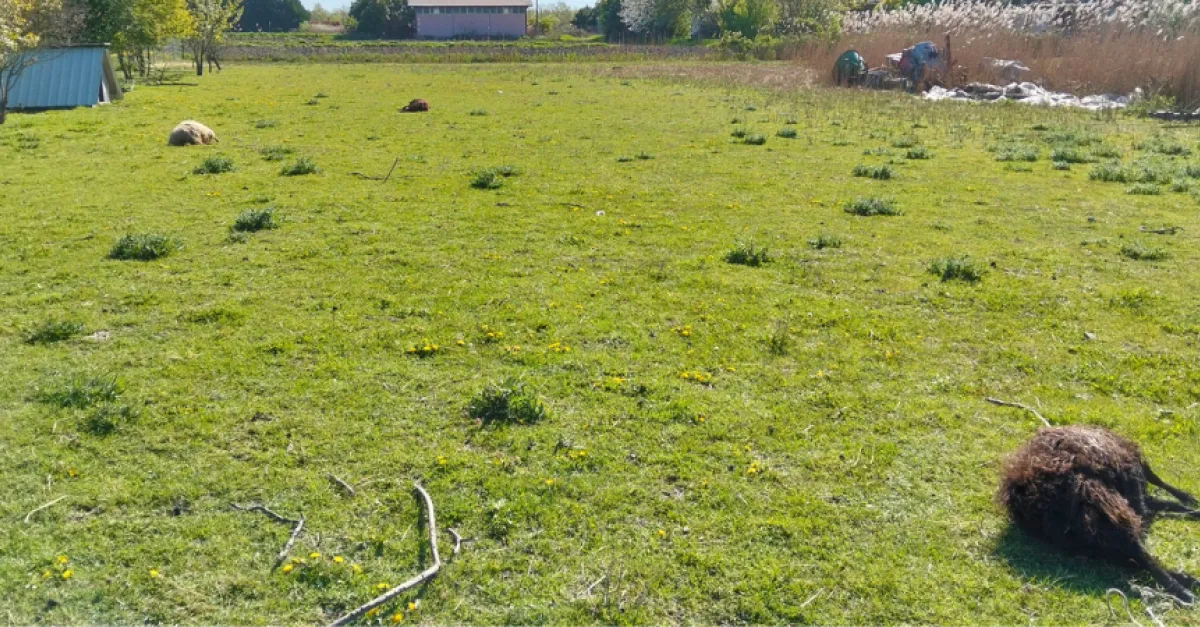 aquileia — IT news