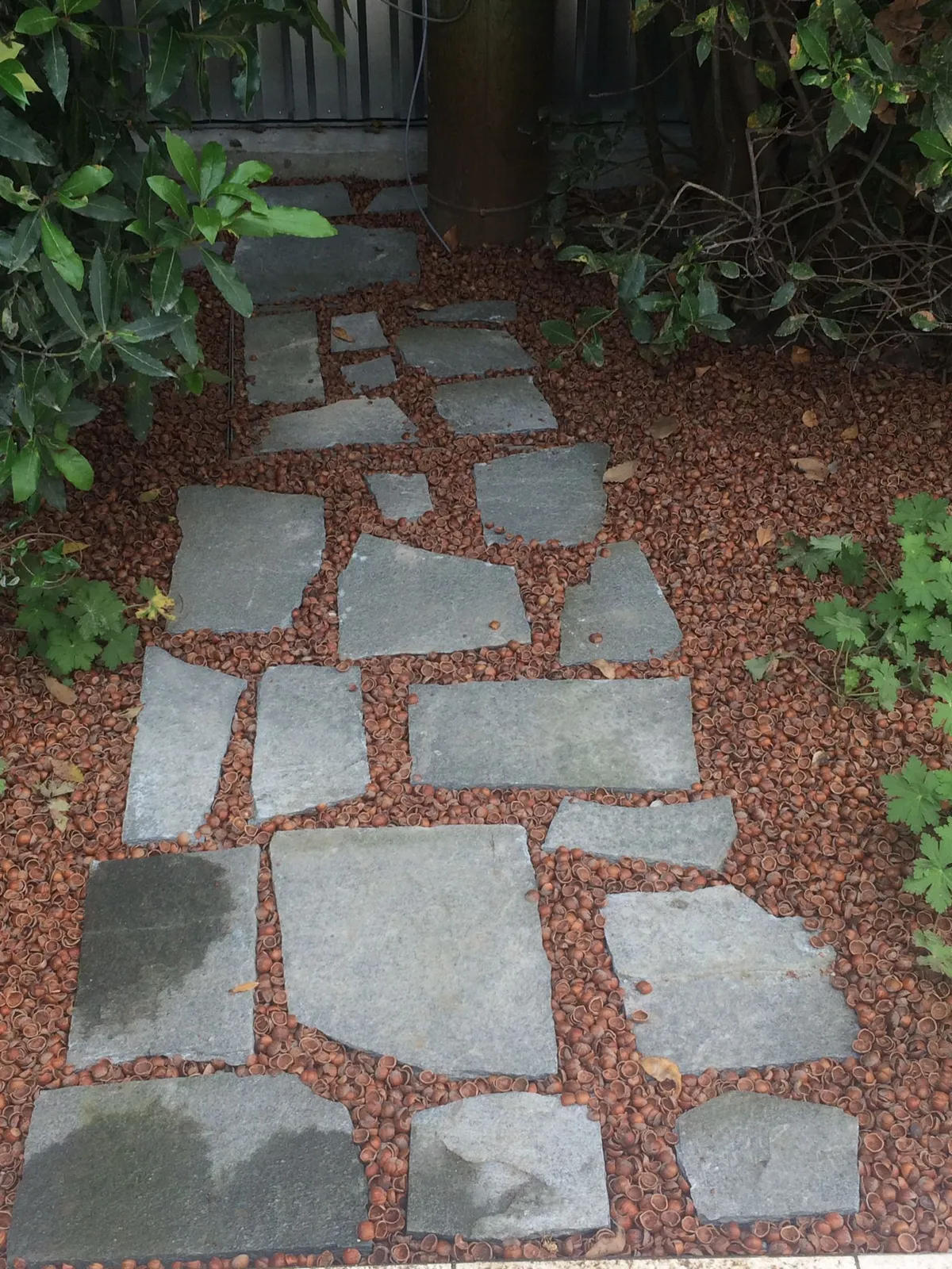 camminare — IT news