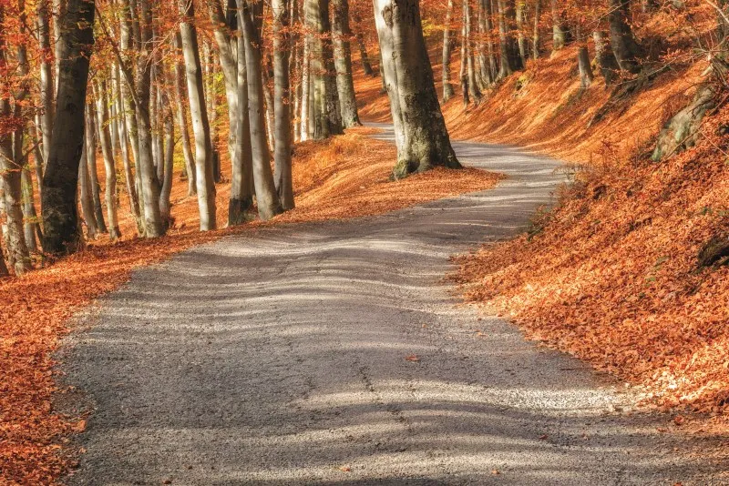 montagna — IT news