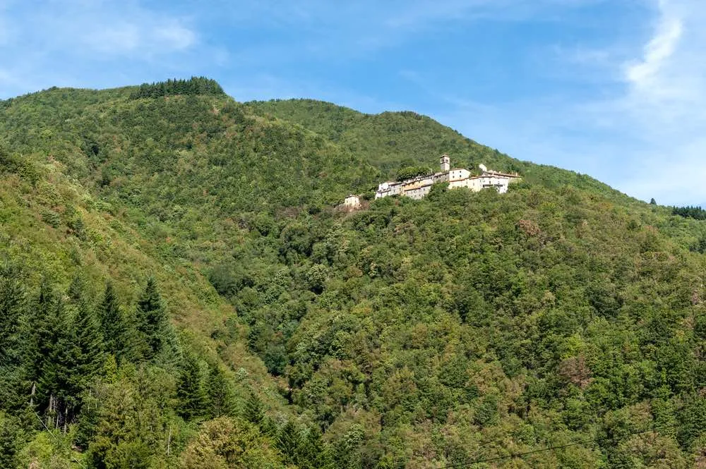 pistoiese crema — IT news