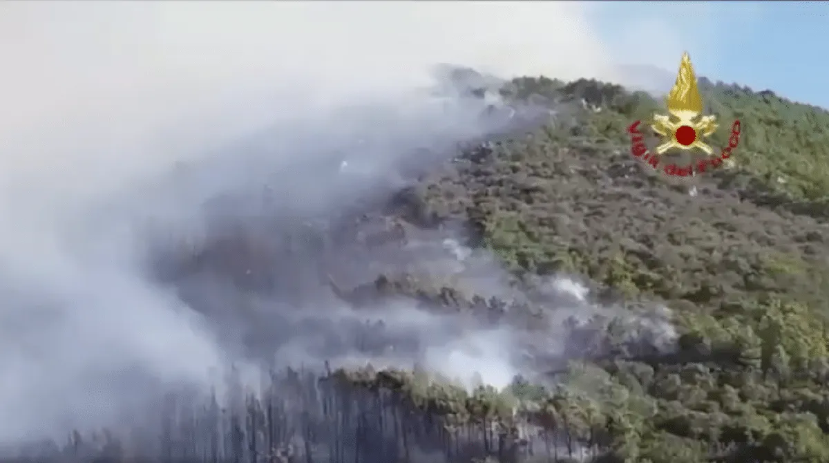 incendio pisa — IT news