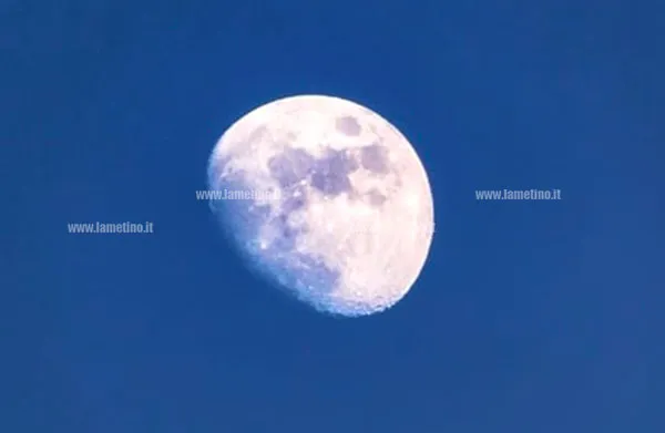 la luna piena dei fiori — IT news