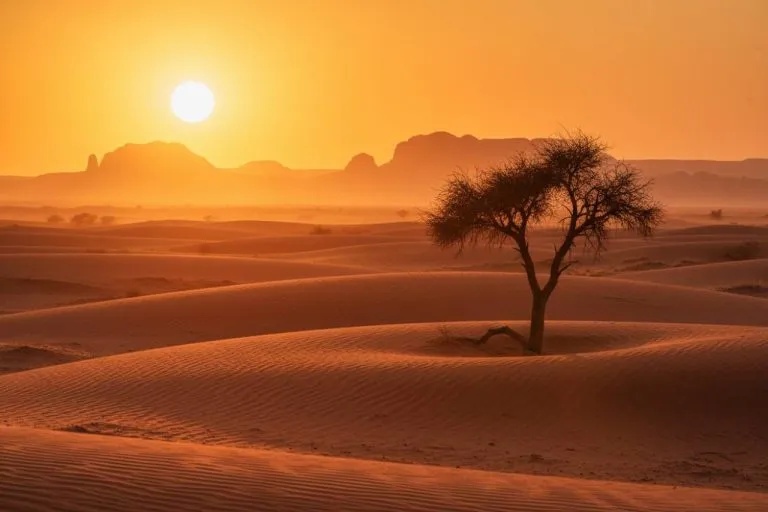 previsioni meteo estate 2026 — IT news